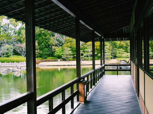 静寂と四季が彩る癒しの空間🌿⛲