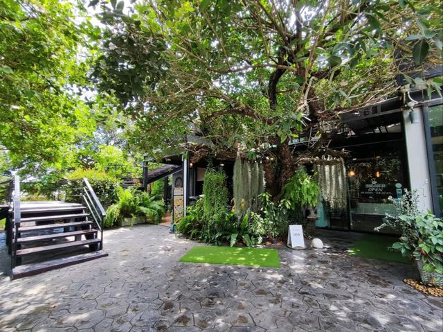 คาเฟ่เด็ด บ้านเพ อาหารสดอร่อย บรรยากาศร่มรื่น