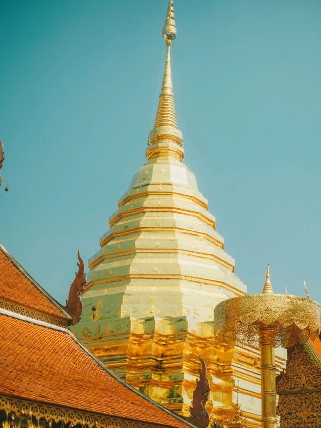 🙏วัดพระธาตุดอยสุเทพ วัดศักดิ์สิทธิ์ จ.เชียงใหม