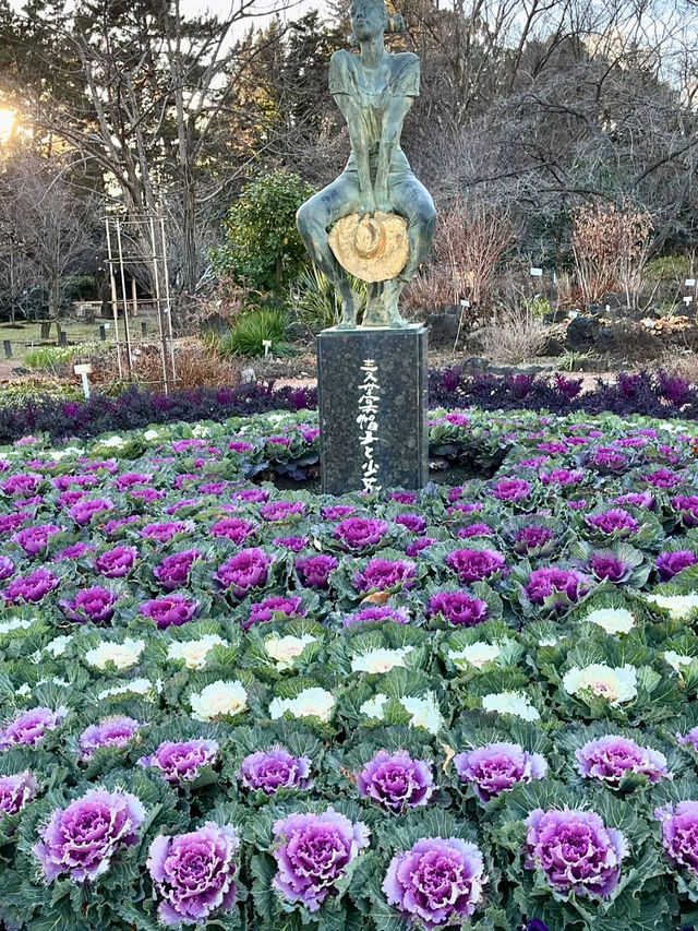 Spring Blooms at Kyoto Botanical Gardens🌸