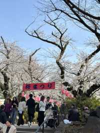 東京賞櫻攻略：中目黑、澀谷、中野、芝公園，一次蒐集所有粉嫩美景！🌸