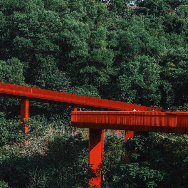 🔥【深圳新晉打卡】光明虹橋公園實測報告📸