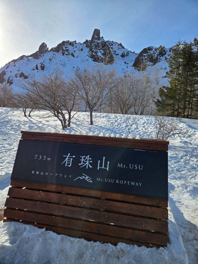 可以觀賞洞爺火山口的景觀😍