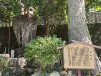 #悟竹院-日本歧阜縣