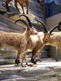 Shanghai Natural History Museum สุดอลังการว้าวสุดๆ