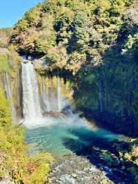 水のベールに包まれて。神秘の絶景、白糸ノ滝で心洗われるひととき