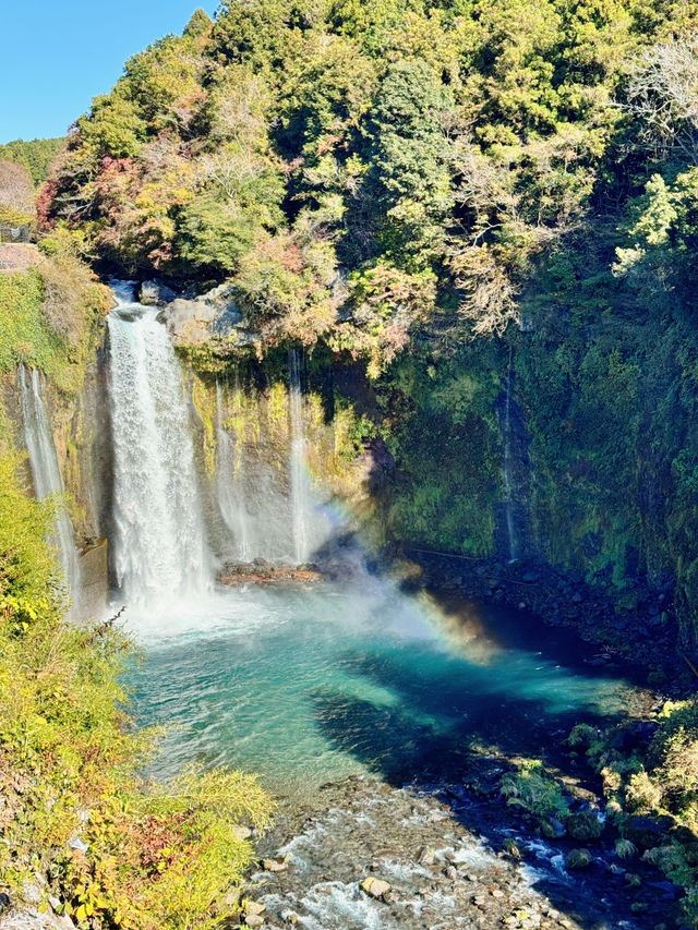 水のベールに包まれて。神秘の絶景、白糸ノ滝で心洗われるひととき