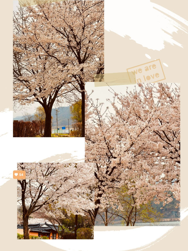 Dasan's Spring Palette: A Canvas of Emerging Life, Gently Brushed 