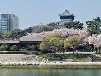 山口、北九州で桜を楽しむ春の休日