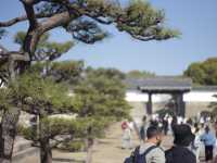 ชมเมืองประวัติศาสตร์ ณ ปราสาทโอซาก้า 