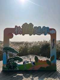 Yellow River Estuary Ecotourism Area – Gateway to China’s Mother River