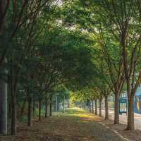 富陽自然生態公園·綠意世外桃源