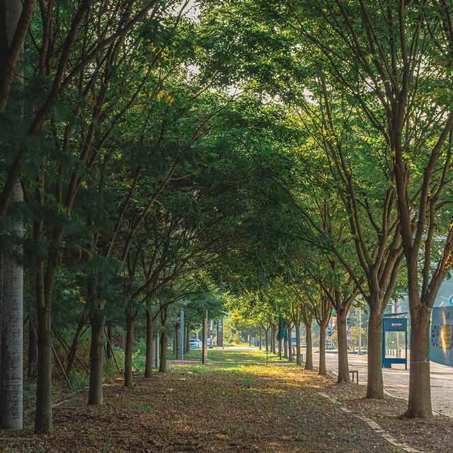 富陽自然生態公園·綠意世外桃源