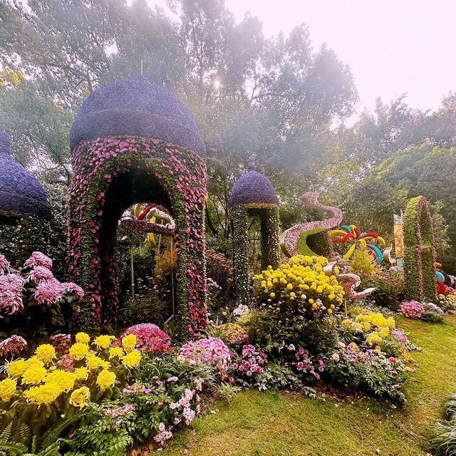 Blossoms and Tranquility: A Day at Hangzhou Botanical Garden