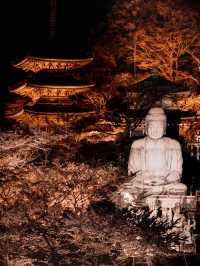 ⛩️壺阪寺🎎千年古剎的櫻花秘境🌸