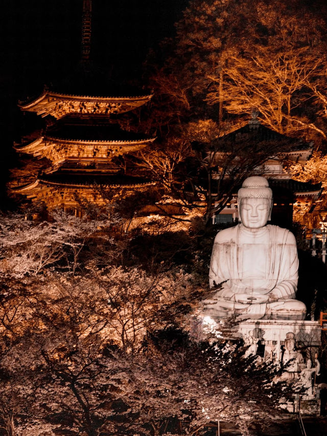 ⛩️壺阪寺🎎千年古剎的櫻花秘境🌸