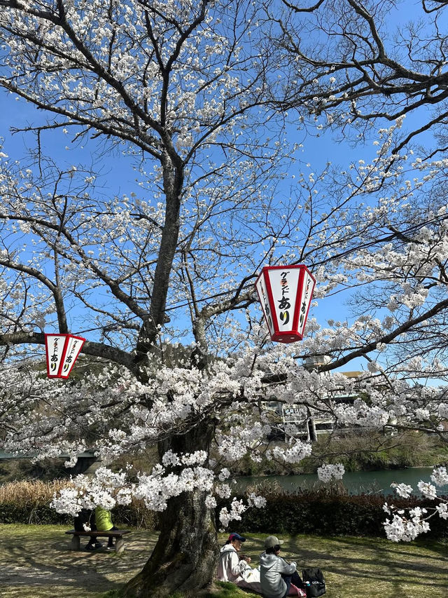 Iwakuni