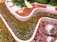เที่ยวงานดอกไม้ Wondrous Bloom 