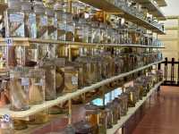 Museum of Oceanography