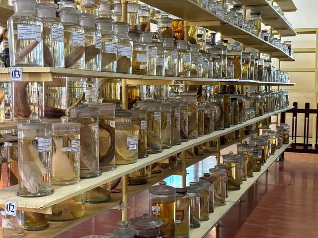 Museum of Oceanography