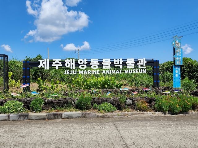 제주해양동물박물관