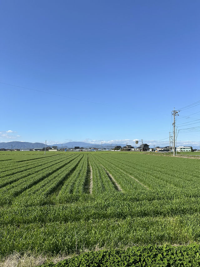 Kyushu amazing views