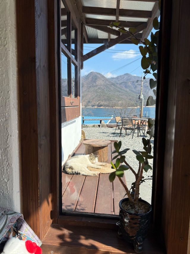 🌼충주 충주댐이 보이는 한옥카페 구옥,날다🩷
