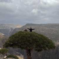Socotra Island
