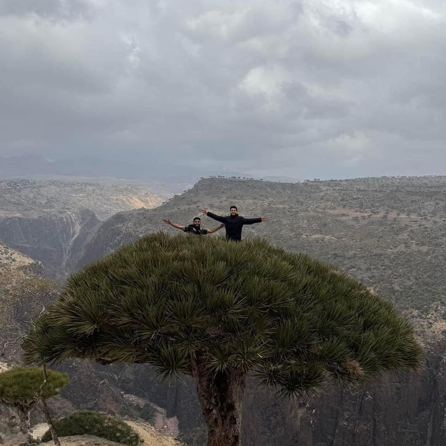 Socotra Island