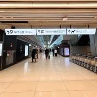 【ソウル】知ってる？韓国国内線は機内にペットOK✈️