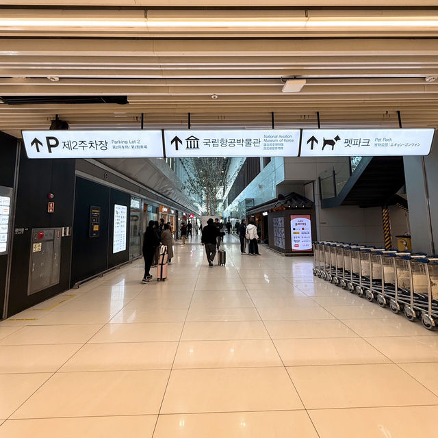 【ソウル】知ってる？韓国国内線は機内にペットOK✈️