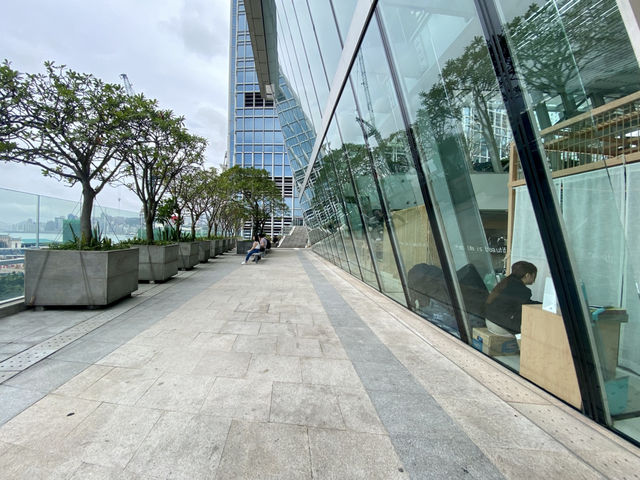 觸摸這座城市的心臟🫀✨中環IFC 商場天台花園✨🌹