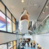 Ocean Odyssey: Exploring Osaka Aquarium Kaiyukan 🇯🇵
