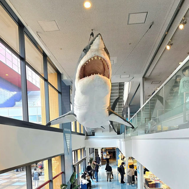 Ocean Odyssey: Exploring Osaka Aquarium Kaiyukan 🇯🇵