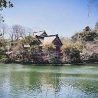 Inokashira Park, Tokyo
