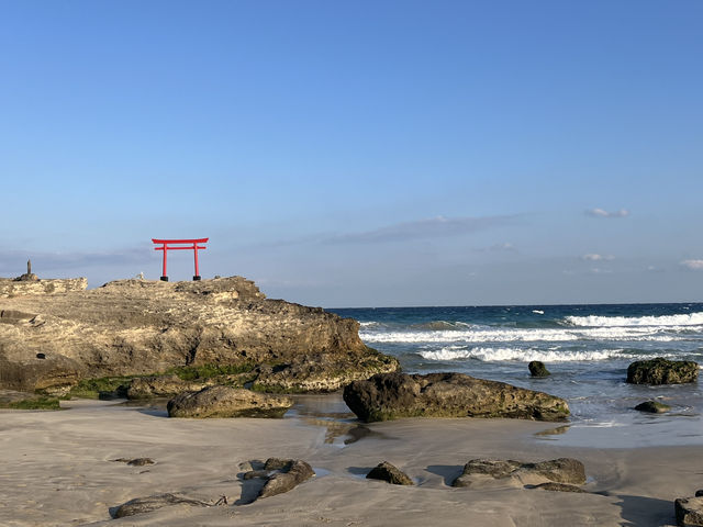 伊豆最古のパワースポット！海辺に佇む「伊古奈比咩命神社（白濱神社）」で神秘の時間を♪