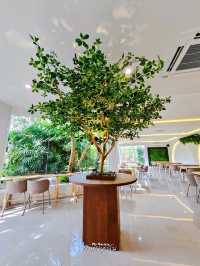 Cococat Cafe