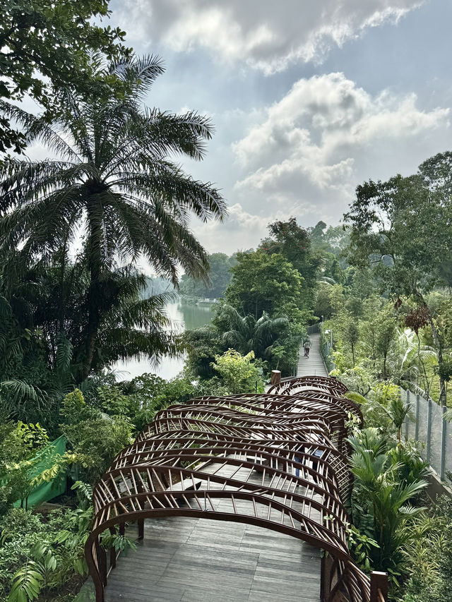 Walking the Mandai Boardwalk