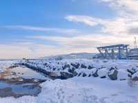北海道旅遊🥳超高質民宿青塚食堂😍必食新鮮刺身海膽😚燒魚燒帆立貝超好味😍