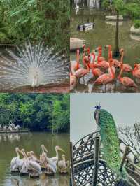 Not Abroad! It's Guangzhou Nansha!! (Only 1 hour direct from Shunde)