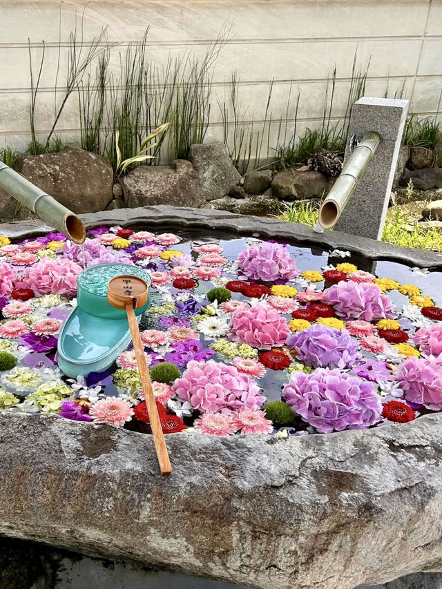 Springtime Charm at Kozan-ji Temple
