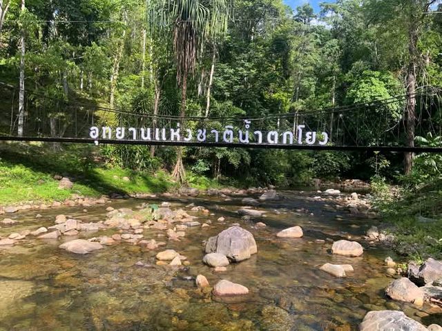 สัมผัสความยิ่งใหญ่ของธรรมชาติในป่าฝนแห่งภาคใต้