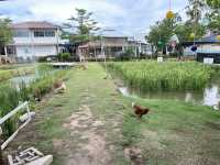 Playfarm ที่เด็กๆต้องชอบ