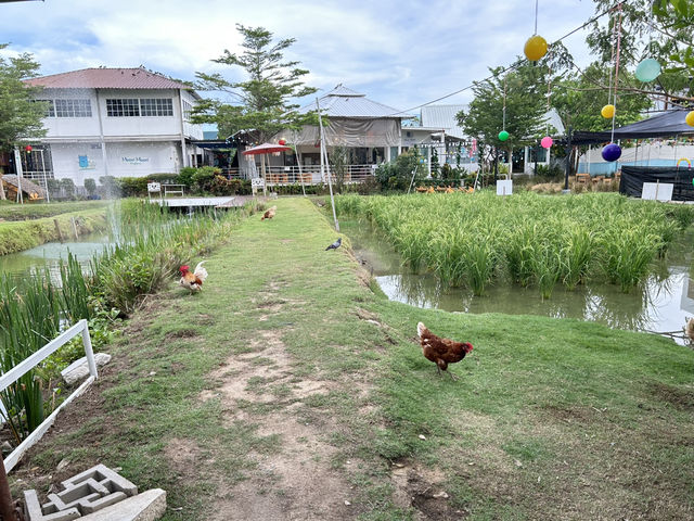 Playfarm ที่เด็กๆต้องชอบ