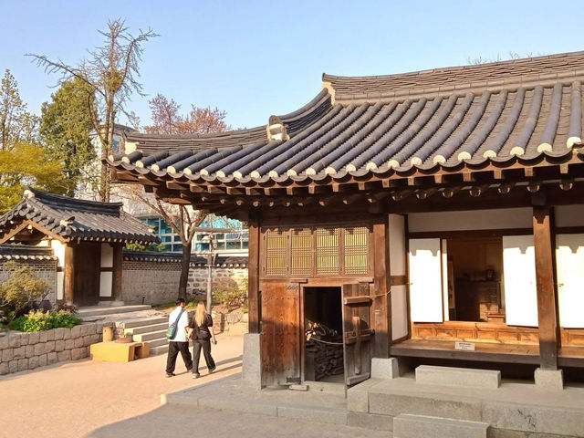 “Cherry Blossoms and Tradition at Namsangol Hanok Village”