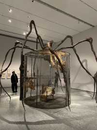 走進路易絲·布爾喬亞的內心世界🕷️Louise Bourgeois特展