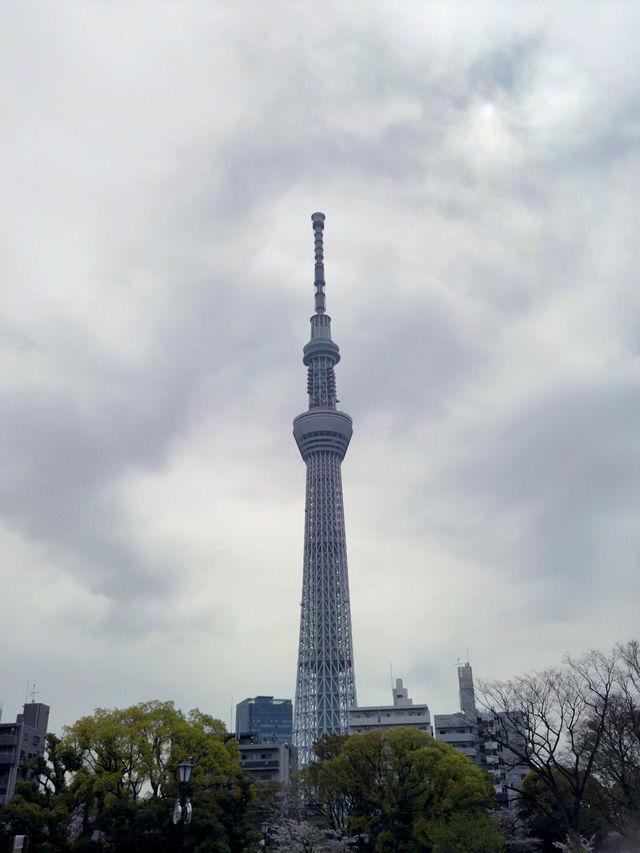 東京｜隅田川一日遊