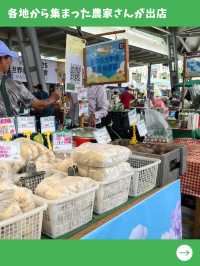 【台北女一人旅】土日限定開催！掘り出し物見つかるファーマーズマーケット！