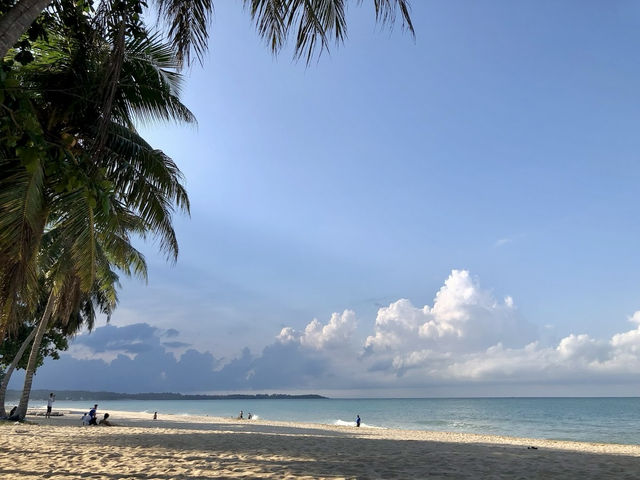 🌴 Desaru Beach: A Solo Traveller’s Honest Review (Sun, Sand & Solitude)
