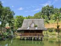 ✨ Kota Tinggi Firefly Valley: A Solo Traveller’s Dazzling Night Escape